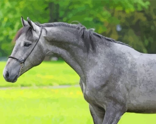 Aesthetic Dark Gray Horse Paint By Numbers