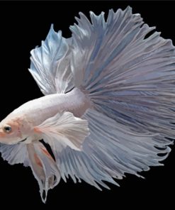 Aesthetic Gray Betta Fish Paint By Numbers