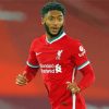 Aesthetic Joe Gomez Paint By Numbers