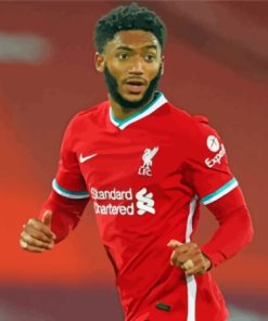 Aesthetic Joe Gomez Paint By Numbers