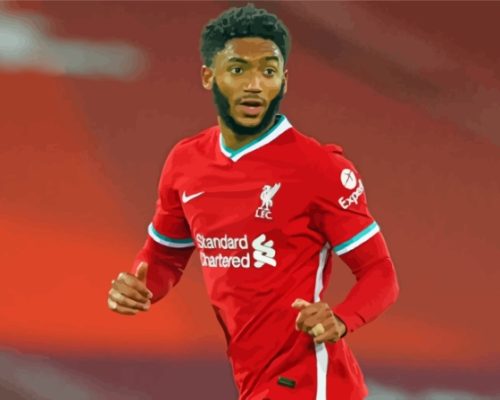 Aesthetic Joe Gomez Paint By Numbers