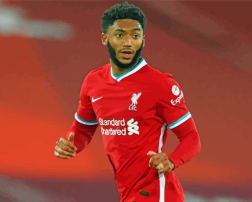 Aesthetic Joe Gomez Paint By Numbers