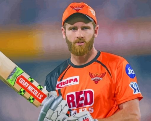 Aesthetic Kane Williamson Paint By Numbers