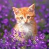 Aesthetic Kitten With Purple Flowers Paint By Numbers