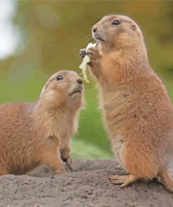 Aesthetic Prairie Dogs Paint By Numbers