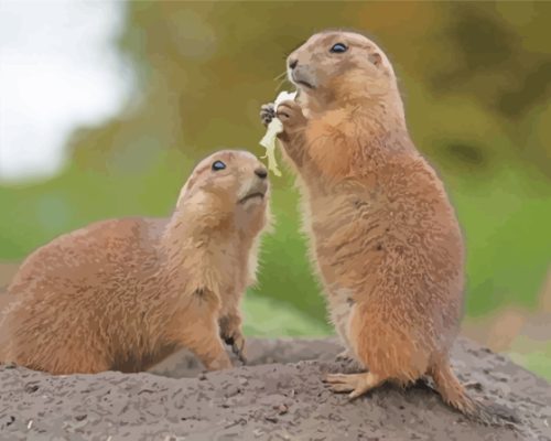 Aesthetic Prairie Dogs Paint By Numbers