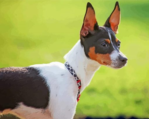 Aesthetic Rat Terrier Paint By Numbers