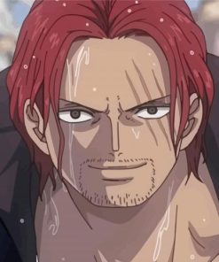 Aesthetic Shanks One Piece Paint By Numbers