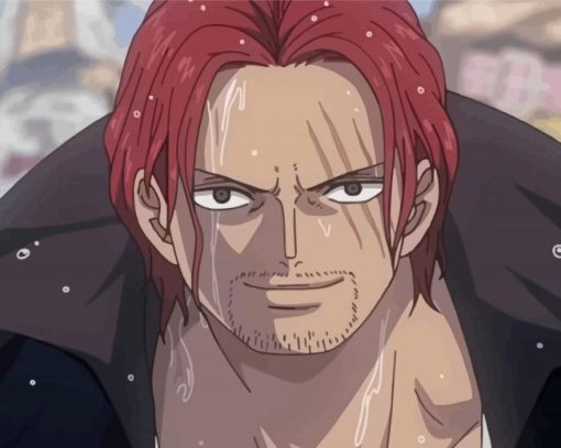 Aesthetic Shanks One Piece Paint By Numbers