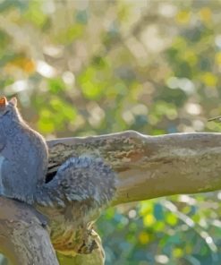 Aesthetic Squirrel And Bird Paint By Numbers