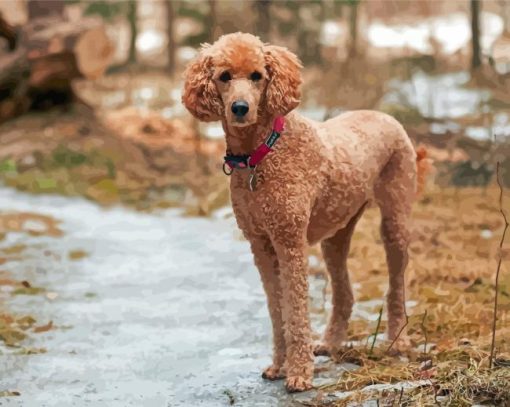 Aesthetic Standard Poodle Paint By Numbers