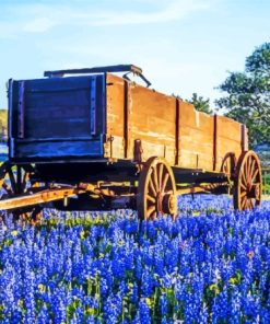 Aesthetic Texas Bluebonnets Paint By Numbers