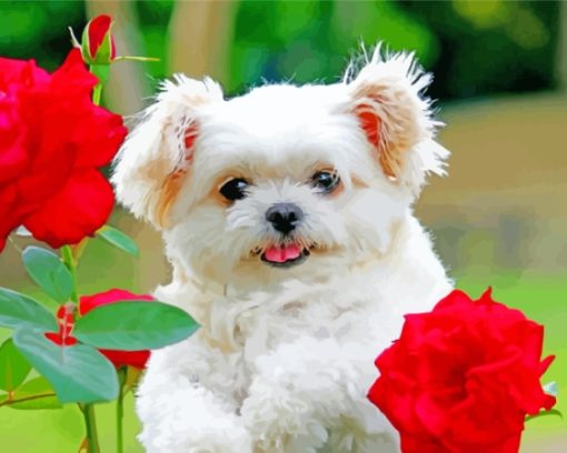 Aesthetic Puppy With Rose Paint By Numbers