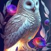 Aesthetic White Owl Paint By Numbers