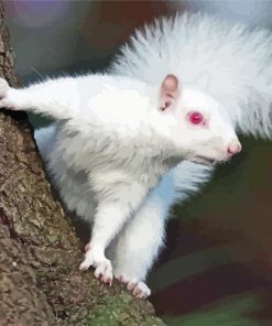 Albino Squirrels With Red Eyes Paint By Numbers