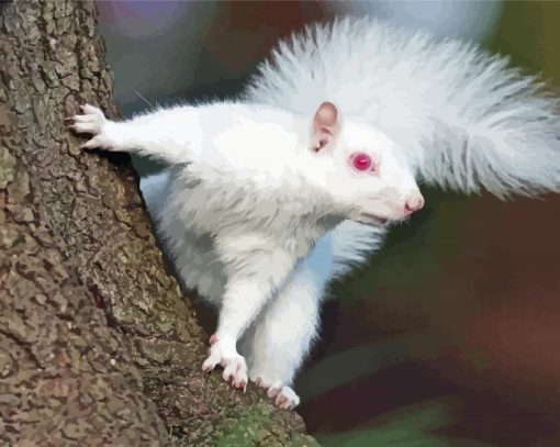 Albino Squirrels With Red Eyes Paint By Numbers