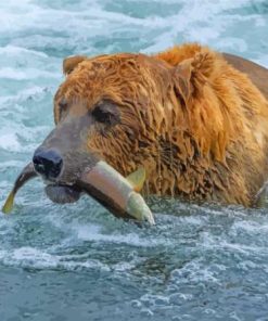 Animal Bear Fishing Paint By Numbers