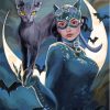 Black Cat And Catwoman Paint By Numbers