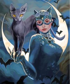 Black Cat And Catwoman Paint By Numbers