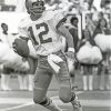 Black And White Roger Staubach Paint By Numbers