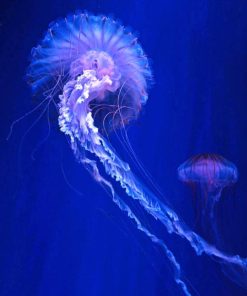 Blue And Purple Jellyfishes Paint By Numbers