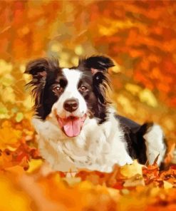 Border Collie In Leaves Paint By Numbers