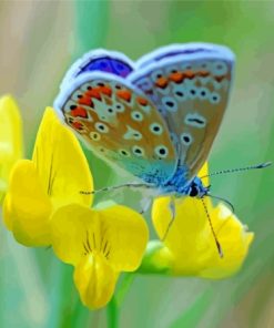 Butterfly On Yellow Flower Paint By Numbers