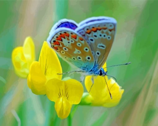 Butterfly On Yellow Flower Paint By Numbers