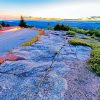 Cadillac Mountain Road Paint By Numbers