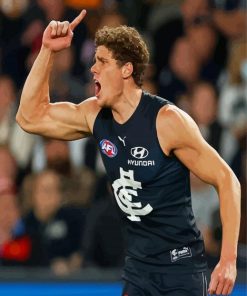 Carlton Football Club Paint By Numbers