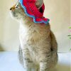 Cat In Summer Hat Paint By Numbers