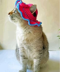 Cat In Summer Hat Paint By Numbers