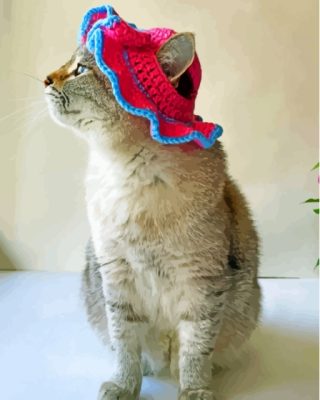 Cat In Summer Hat Paint By Numbers