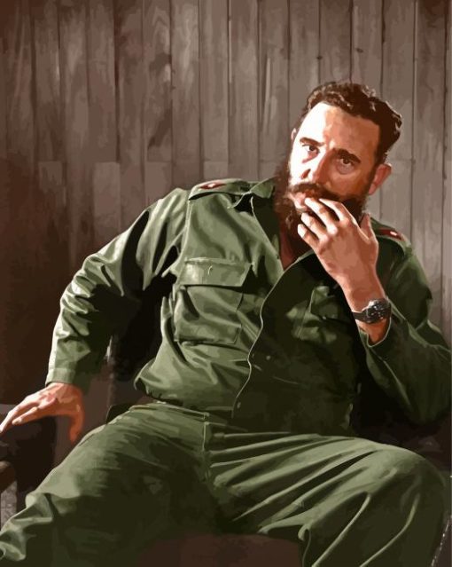 Cool Castro Paint By Numbers