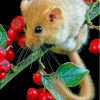 Dormouse Animal Paint By Numbers