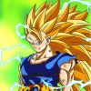 Dragon Ball Z Super Saiyan 3 Paint By Numbers