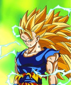 Dragon Ball Z Super Saiyan 3 Paint By Numbers