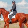 English Horse Riding Paint By Numbers