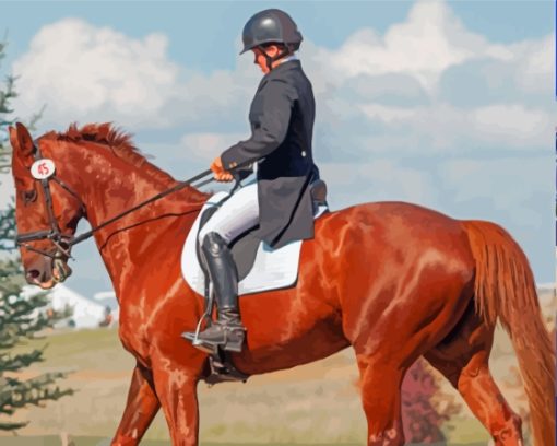 English Horse Riding Paint By Numbers