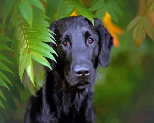 Flat Coated Retriever Pet Dog Paint By Numbers