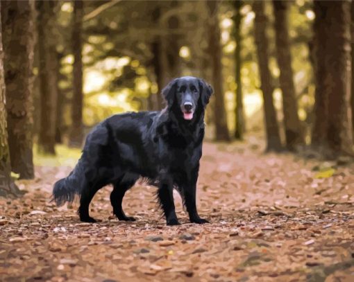 Flat Coated Retriever In The Forest Paint By Numbers