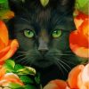 Floral Black Cat Paint By Numbers