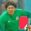 Football Player Guillermo Ochoa Paint By Numbers