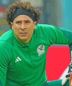 Football Player Guillermo Ochoa Paint By Numbers