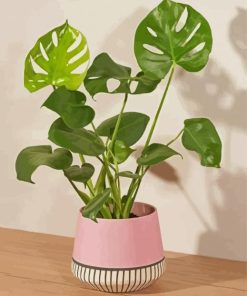 Green Plant In Pink Vase Paint By Numbers