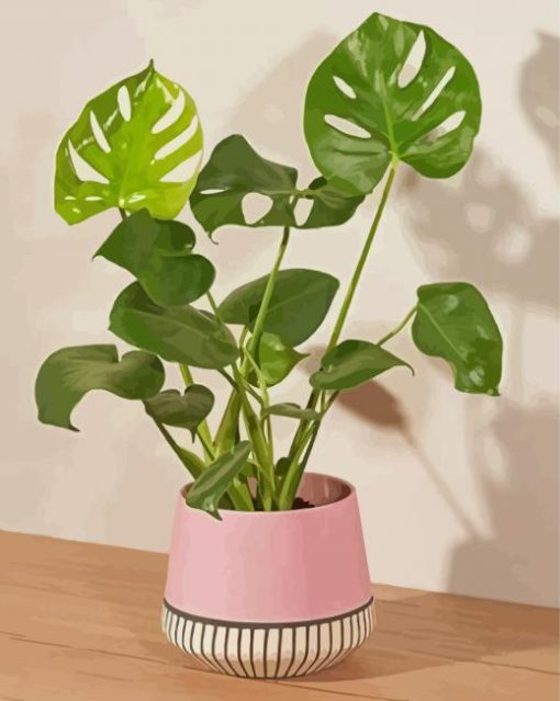 Green Plant In Pink Vase Paint By Numbers