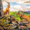 Ibex Animals Art Paint By Numbers