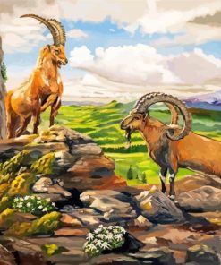 Ibex Animals Art Paint By Numbers