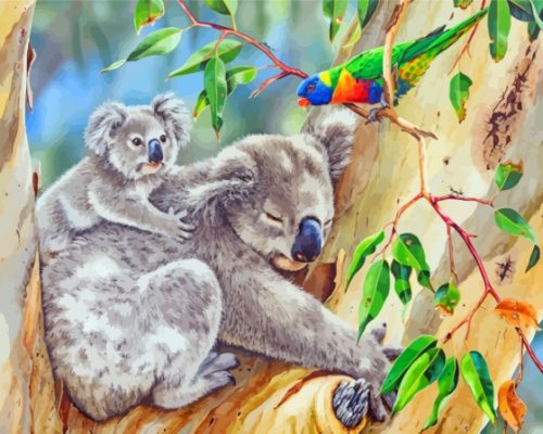 Koalas And Lorikeet Paint By Numbers