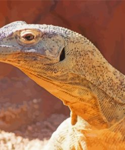 Komodo Dragon Lizard Paint By Numbers